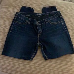 Silver Jeans Plus Size Suki Mid Super Skinny